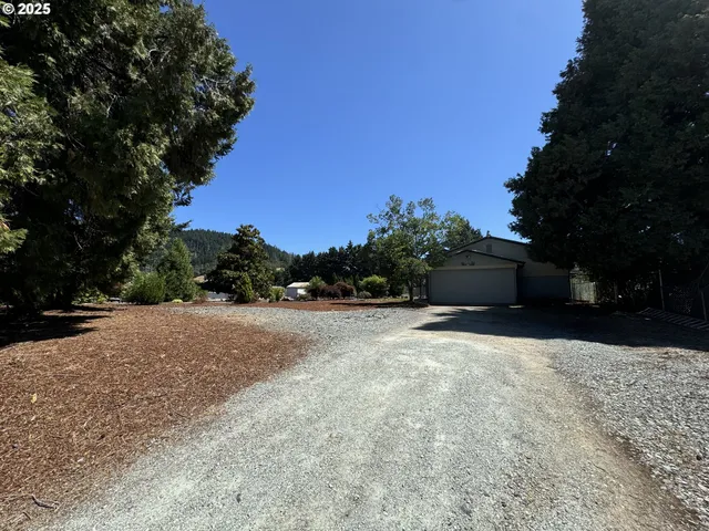 a view of backyard with plants and trees