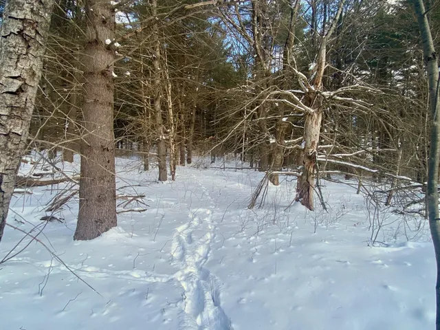 $88,500 | 90 Highway 140, Tinmouth, VT 05773