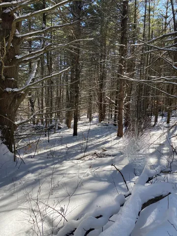 $88,500 | 90 Highway 140, Tinmouth, VT 05773