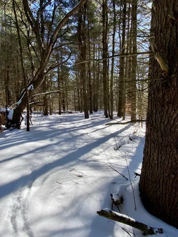 $88,500 | 90 Highway 140, Tinmouth, VT 05773