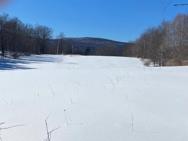 $88,500 | 90 Highway 140, Tinmouth, VT 05773