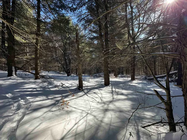 $88,500 | 90 Highway 140, Tinmouth, VT 05773