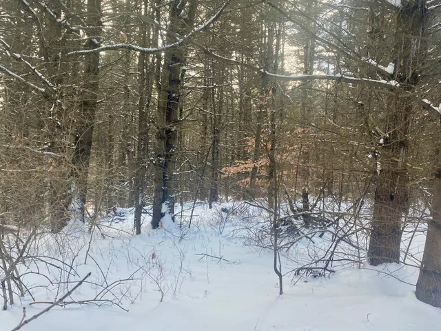 $88,500 | 90 Highway 140, Tinmouth, VT 05773