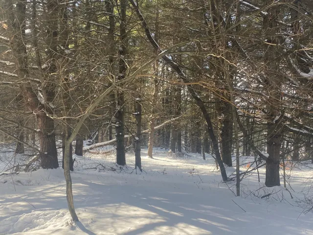 $88,500 | 90 Highway 140, Tinmouth, VT 05773