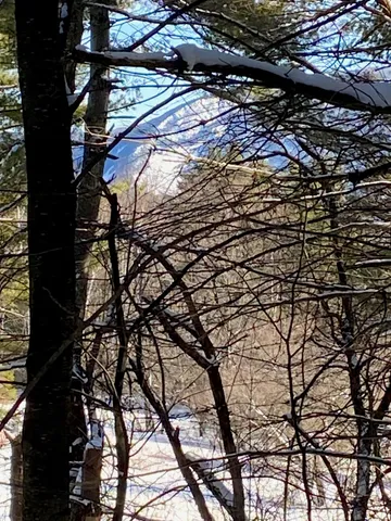 $88,500 | 90 Highway 140, Tinmouth, VT 05773