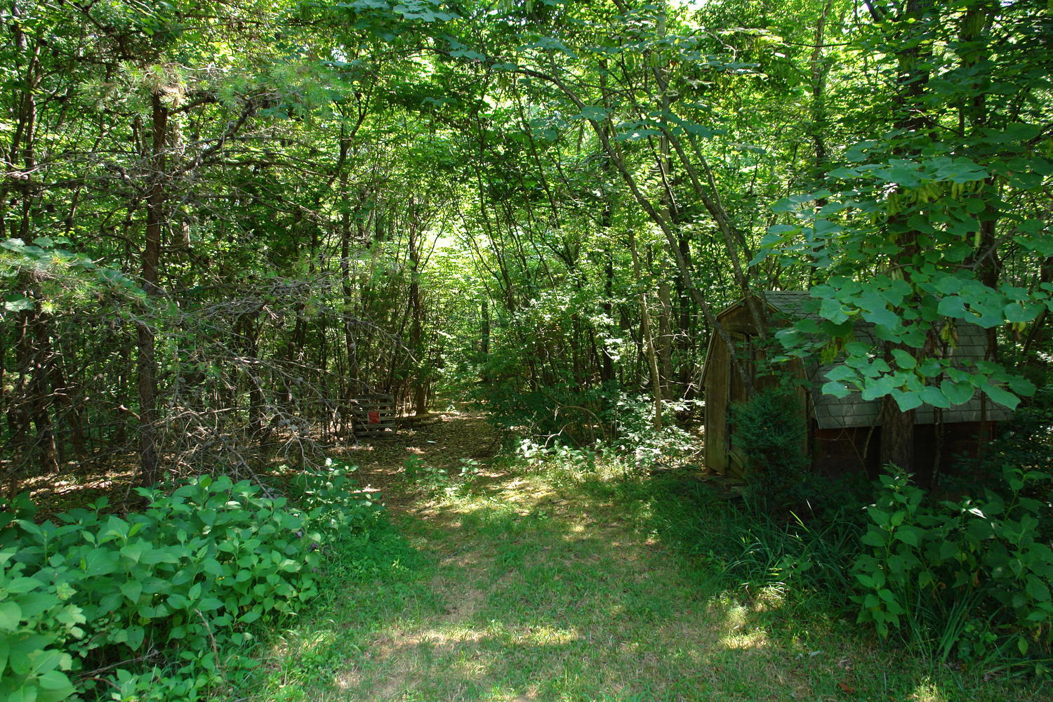 184 Ridge Trail Fincastle, VA 24090 - Photo 33 of 37 184 Ridge Trail Fincastle VA-large-032-2