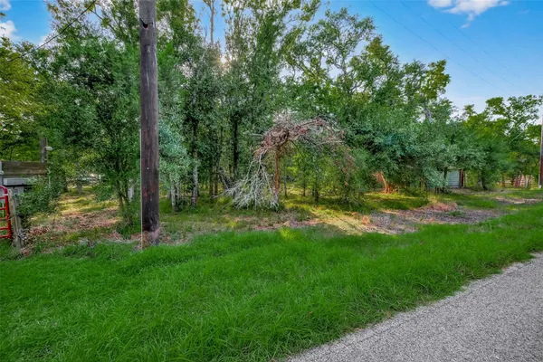 a view of a backyard with large trees