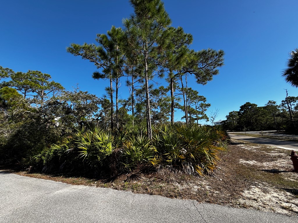 2000 Pelican Way St. George Island, FL 32328 - Photo 7 of 19