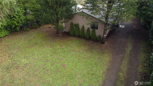 a view of a lake with a tree in the background