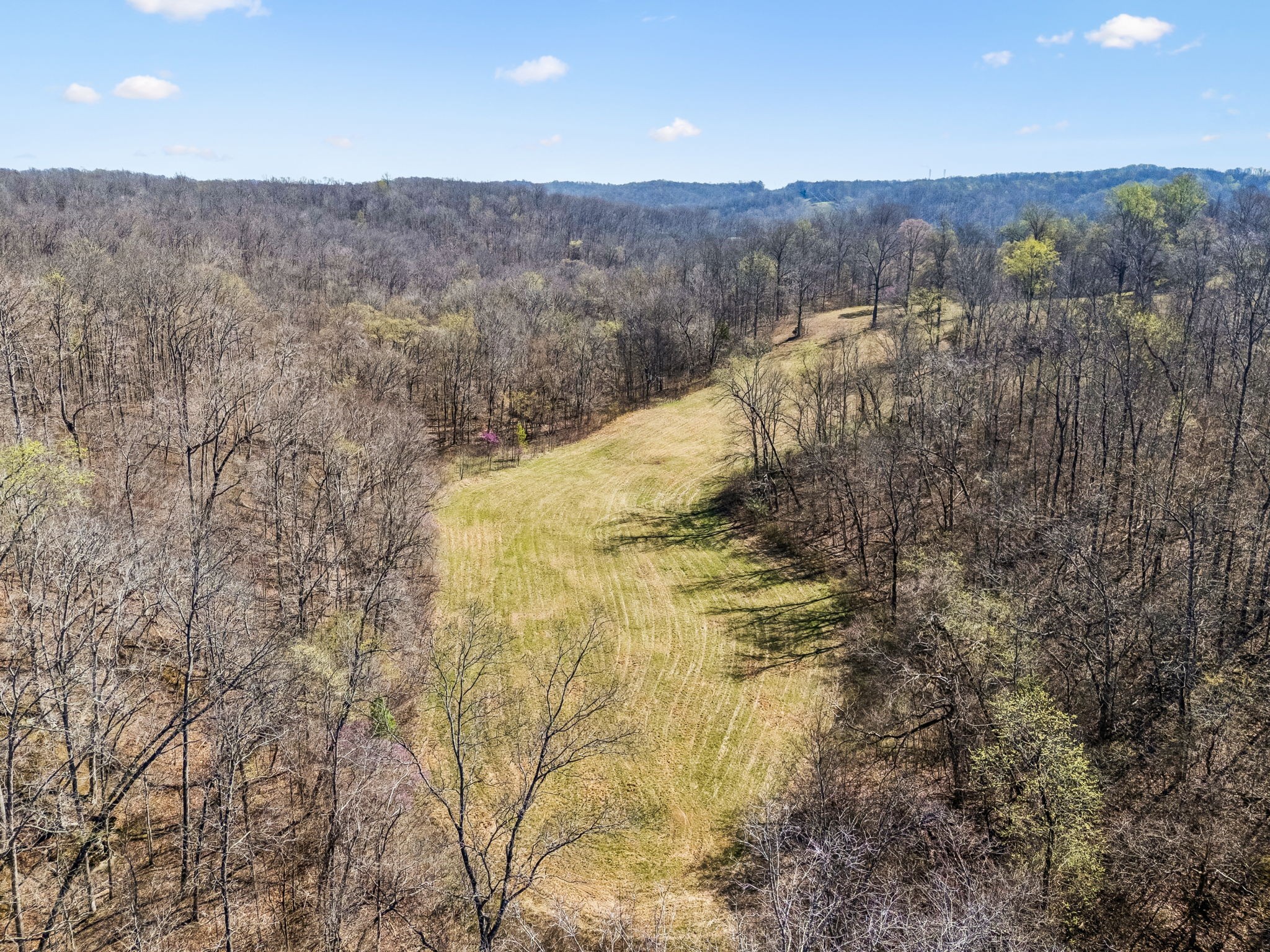 0 Elk Creek Road Dover, TN 37058 - Photo 11 of 22