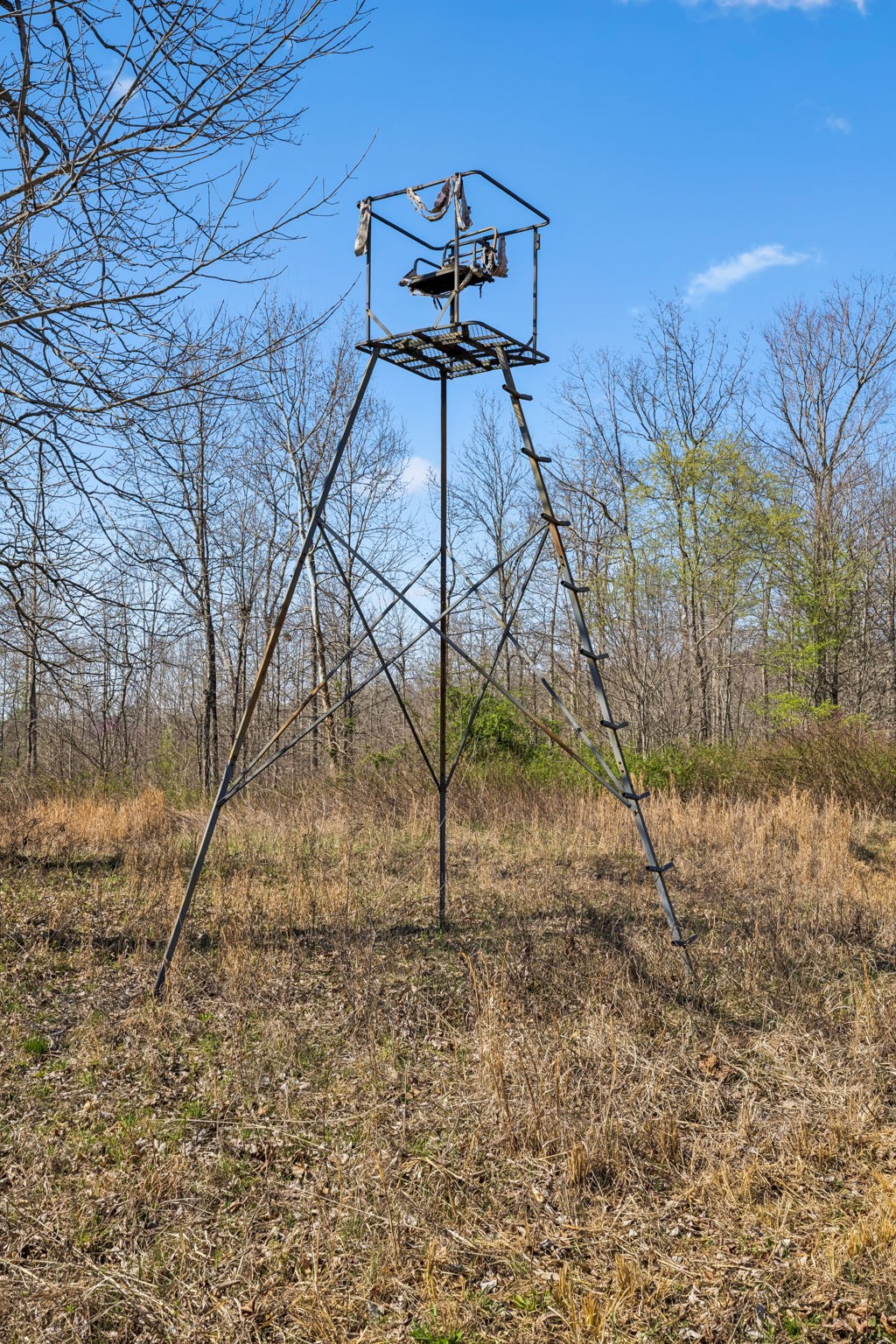 0 Elk Creek Road Dover, TN 37058 - Photo 17 of 22