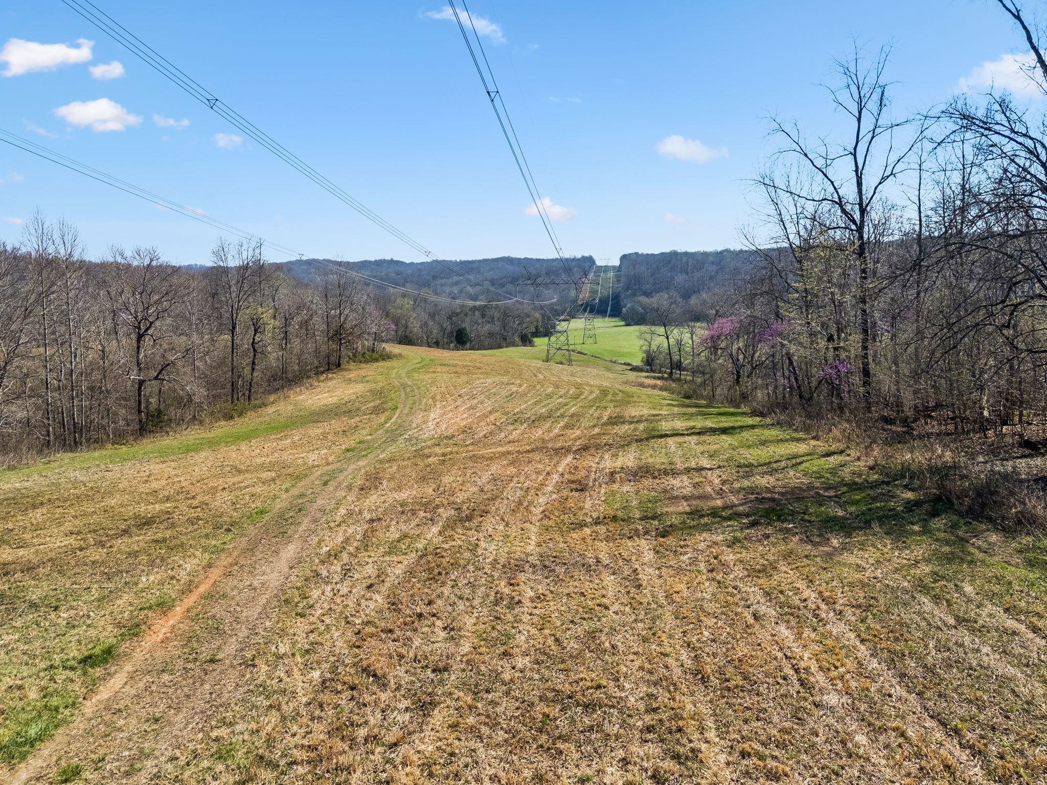 0 Elk Creek Road Dover, TN 37058 - Photo 19 of 22