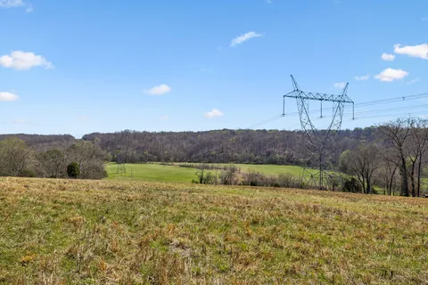 a view of a yard with trees in the background