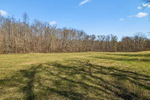 a view of outdoor space with green field and trees in the background