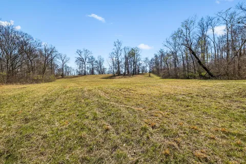 a view of a field with trees in the background