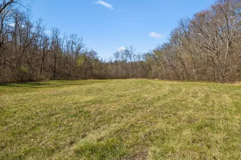 a view of outdoor space with green field and trees in the background