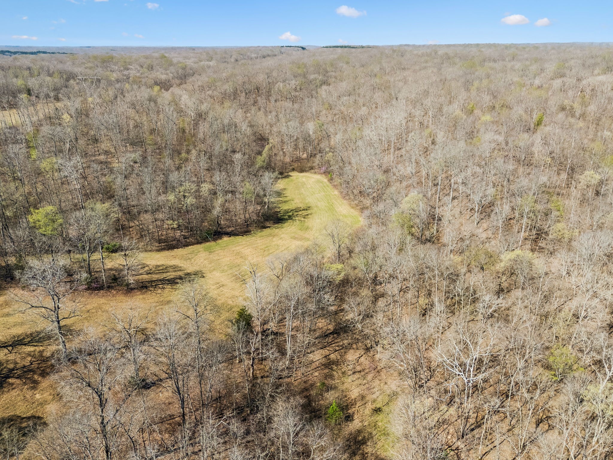 0 Elk Creek Road Dover, TN 37058 - Photo 8 of 11 a view of a dry yard with wooden stairs