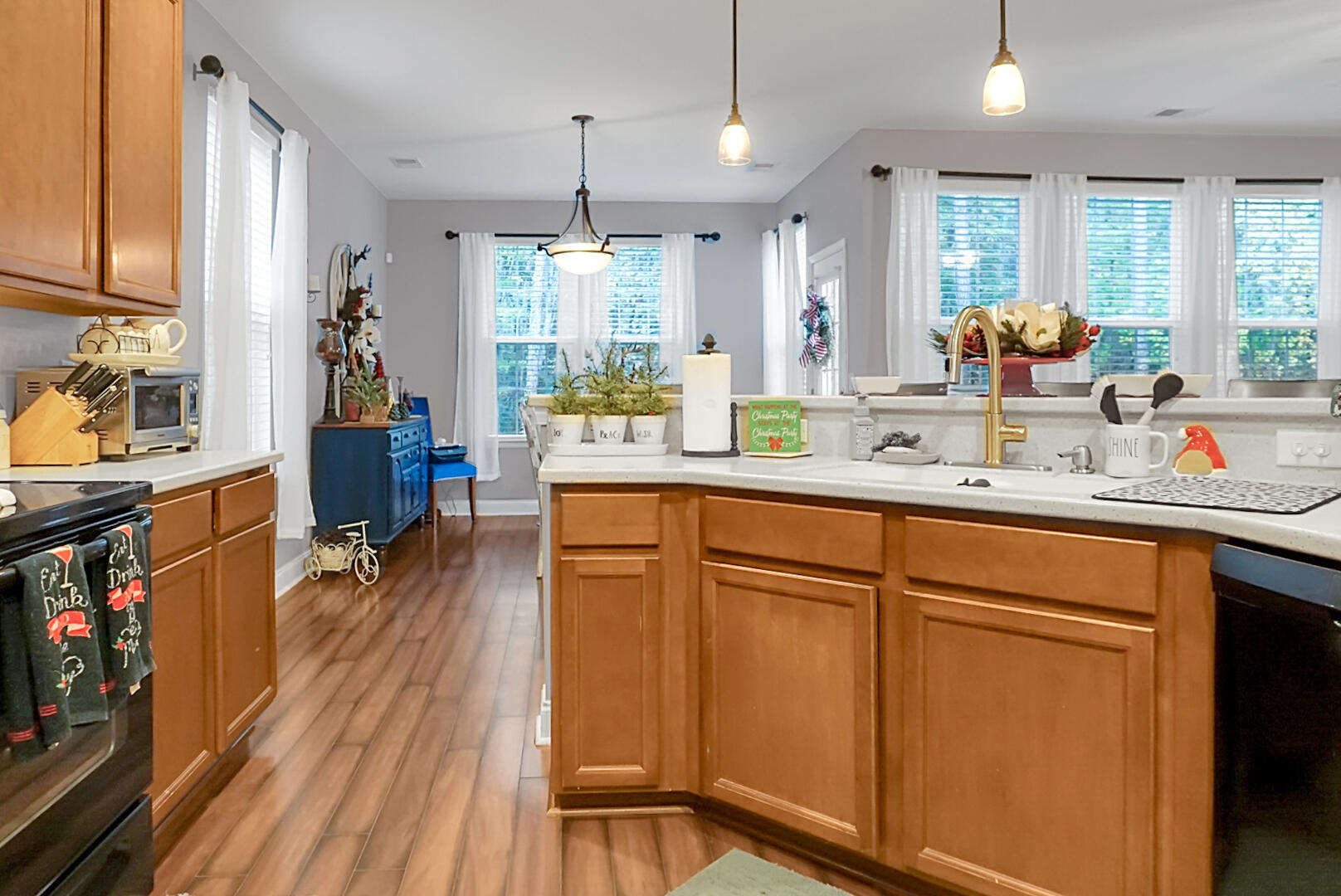 108 Springbank Court Moncks Corner, SC 29461 - Photo 12 of 61 DSC02662
