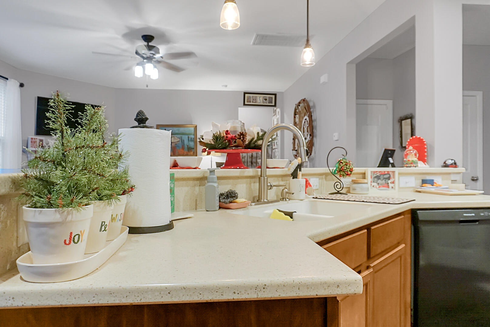 108 Springbank Court Moncks Corner, SC 29461 - Photo 15 of 61 DSC02671