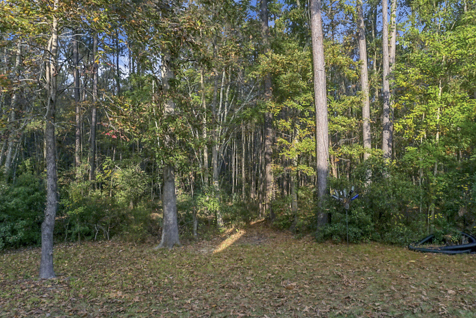 108 Springbank Court Moncks Corner, SC 29461 - Photo 58 of 61 DSC02629