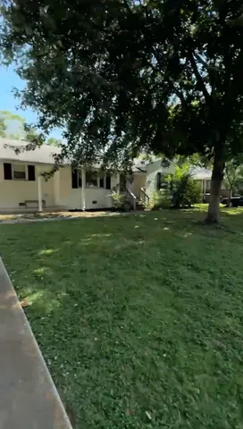 a view of a yard with plants and large trees