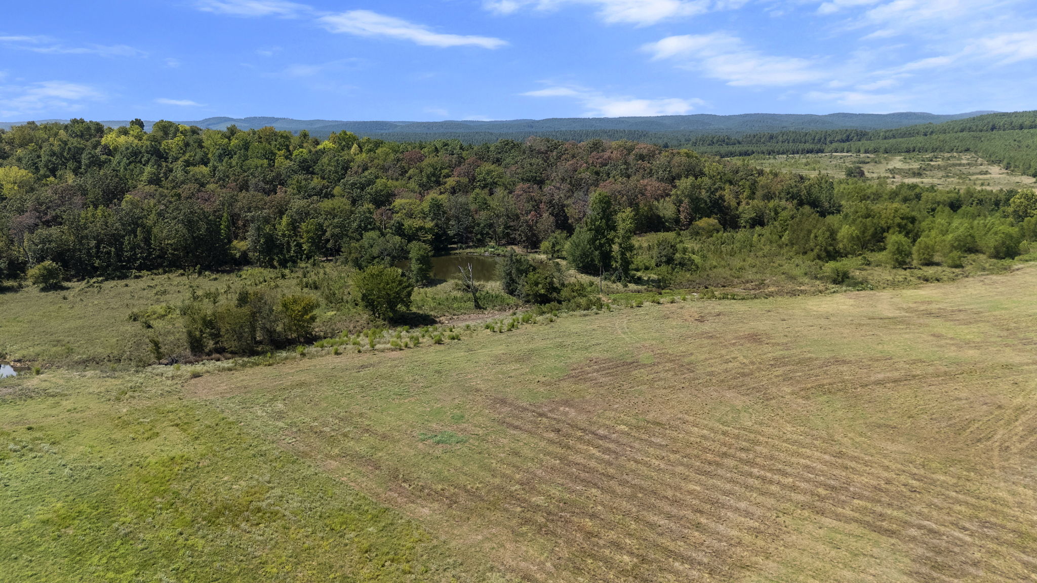 0 Rutty Pne Ridge Broken Bow, OK 74728 - Photo 12 of 22 Expansive agricultural property featuring rolling pastureland with established tree lines and mature vegetation