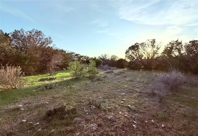 a view of a field with trees in the background