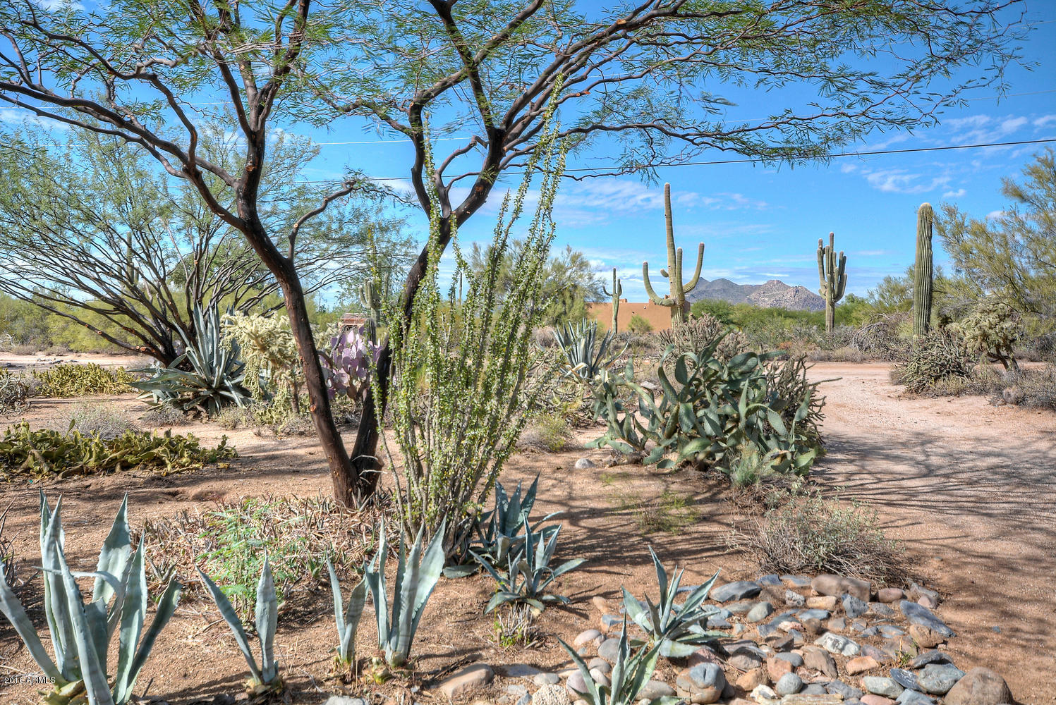 6631 East Lowden Road Cave Creek, AZ 85331 - Photo 13 of 25 Black Mountain Views!!
