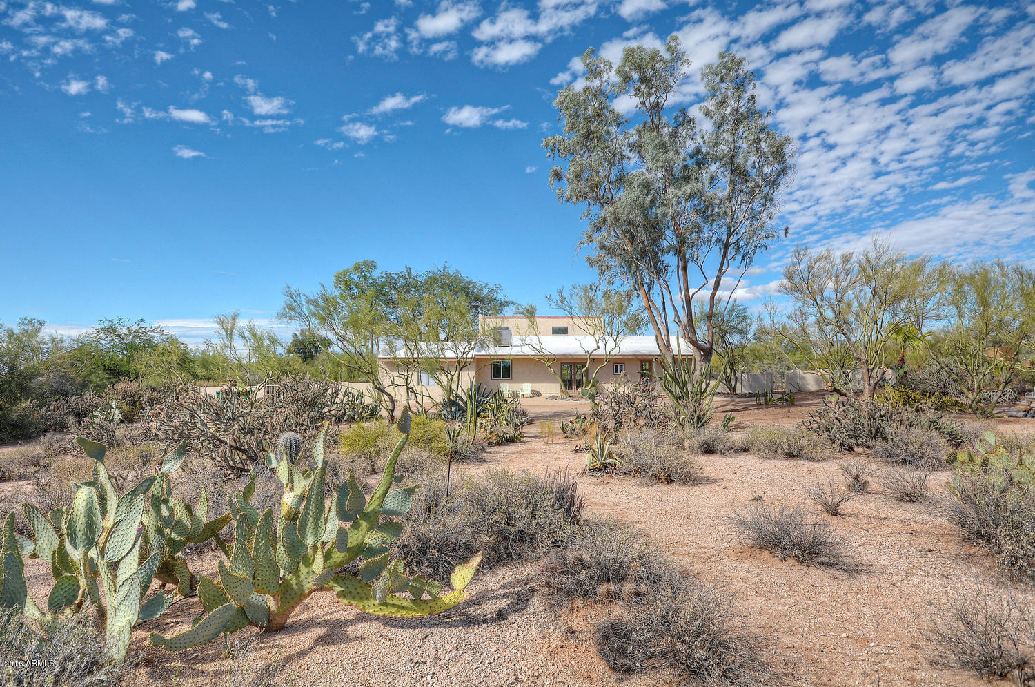 6631 East Lowden Road Cave Creek, AZ 85331 - Photo 15 of 25 Large 1+ acre lot!!