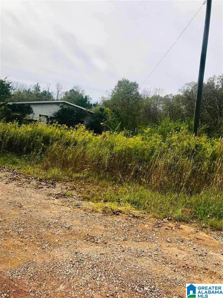 9317 Cedar Hill Road, Unit 4 14 ACRES Warrior, AL 35180 - Photo 2 of 4