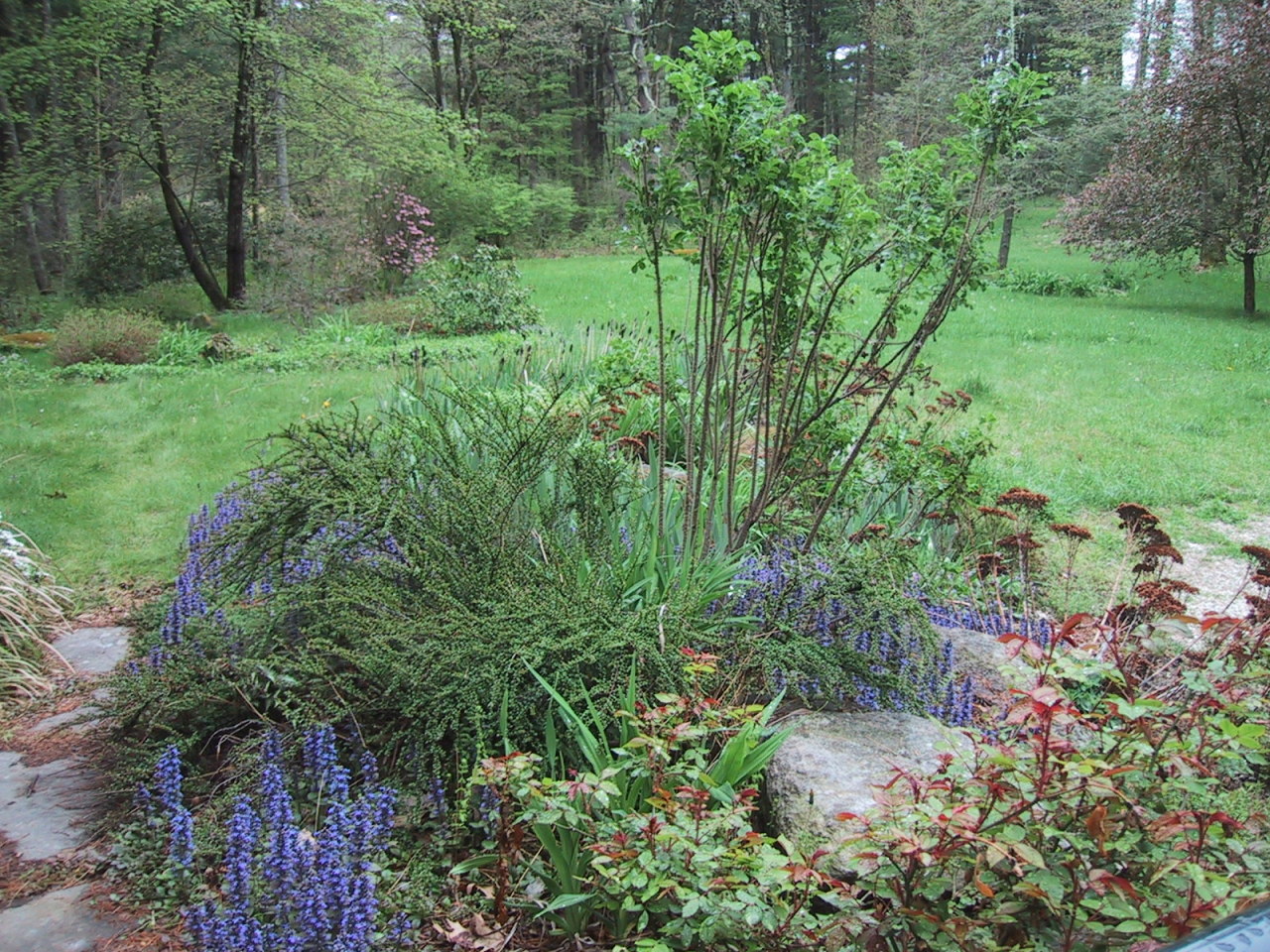131 Rote Hill Road Sheffield, MA 01257 - Photo 2 of 2 Landscaped yard