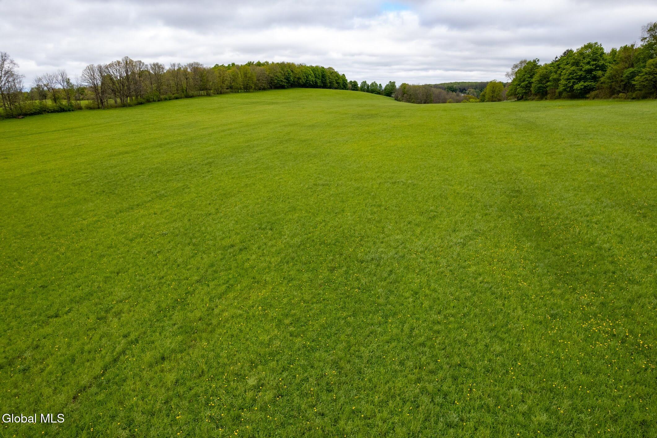 229 Scofield Road Sharon Springs, NY 13459 - Photo 4 of 17 19-229 Scofield