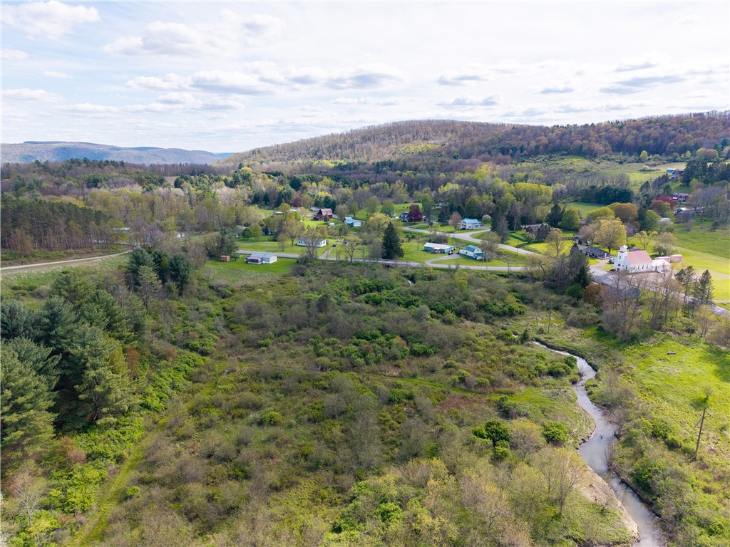0 County Route 13 Bath, NY 14810 - Photo 14 of 26