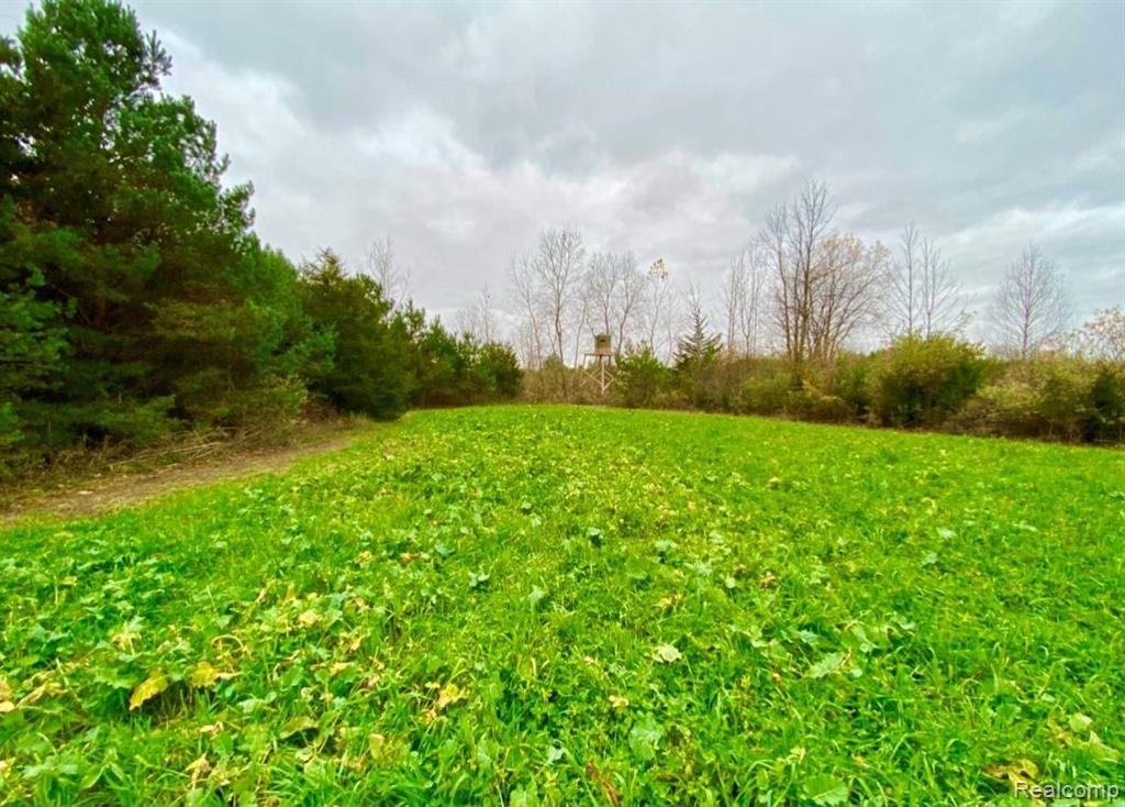 V/l Kelly Road Flushing, MI 48433 - Photo 4 of 23