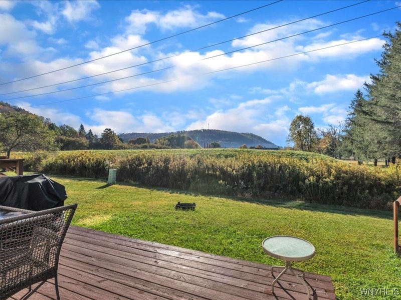 29 Pine Tree Village Road Ellicottville, NY 14731 - Photo 24 of 31