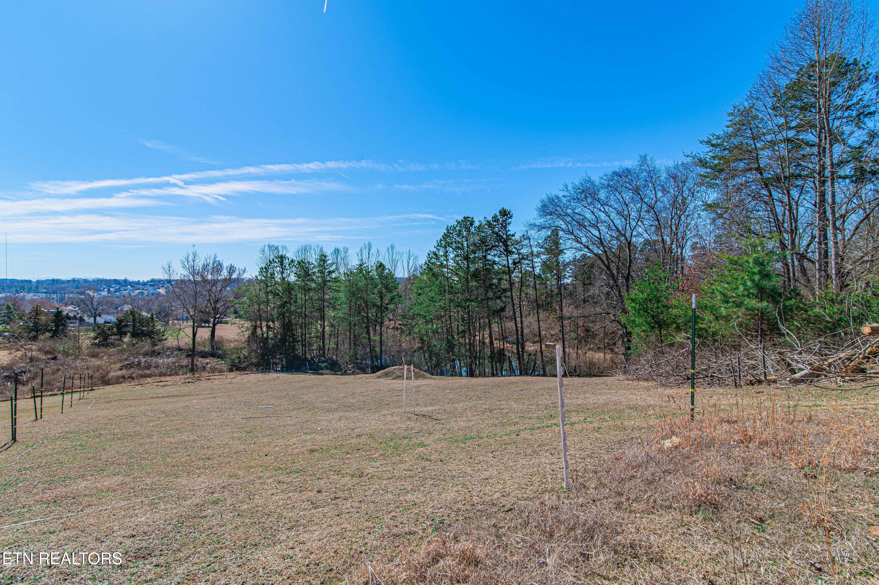 541 Dante Road Knoxville, TN 37918 - Photo 6 of 8 DanteRoad-24