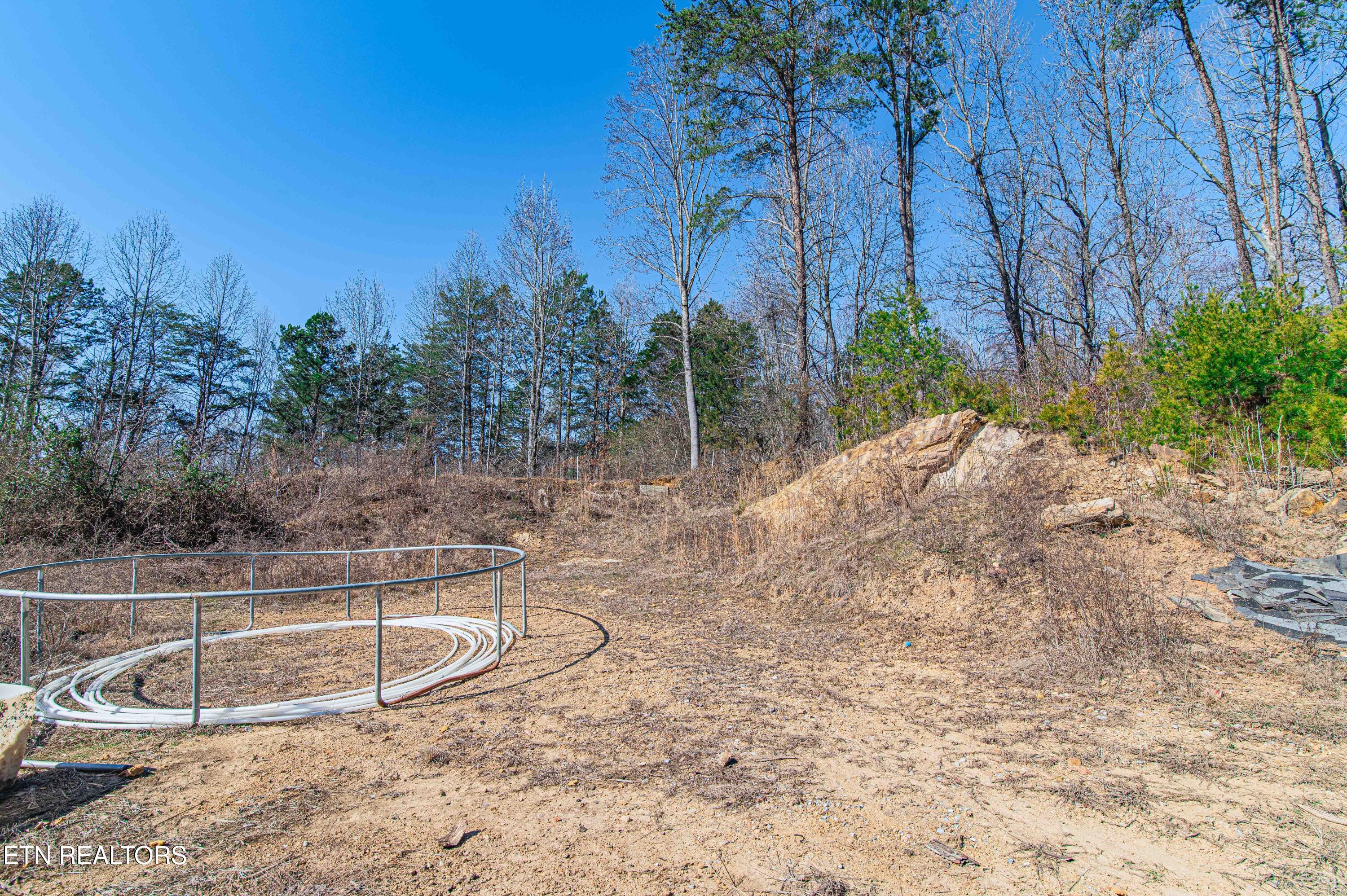 541 Dante Road Knoxville, TN 37918 - Photo 7 of 8 DanteRoad-23