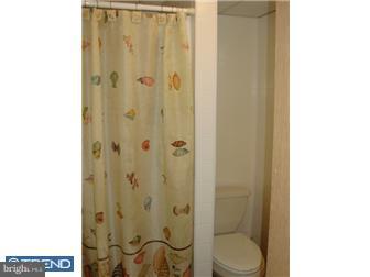 7726 Rugby Street Philadelphia, PA 19150 - Photo 10 of 12 Bathroom