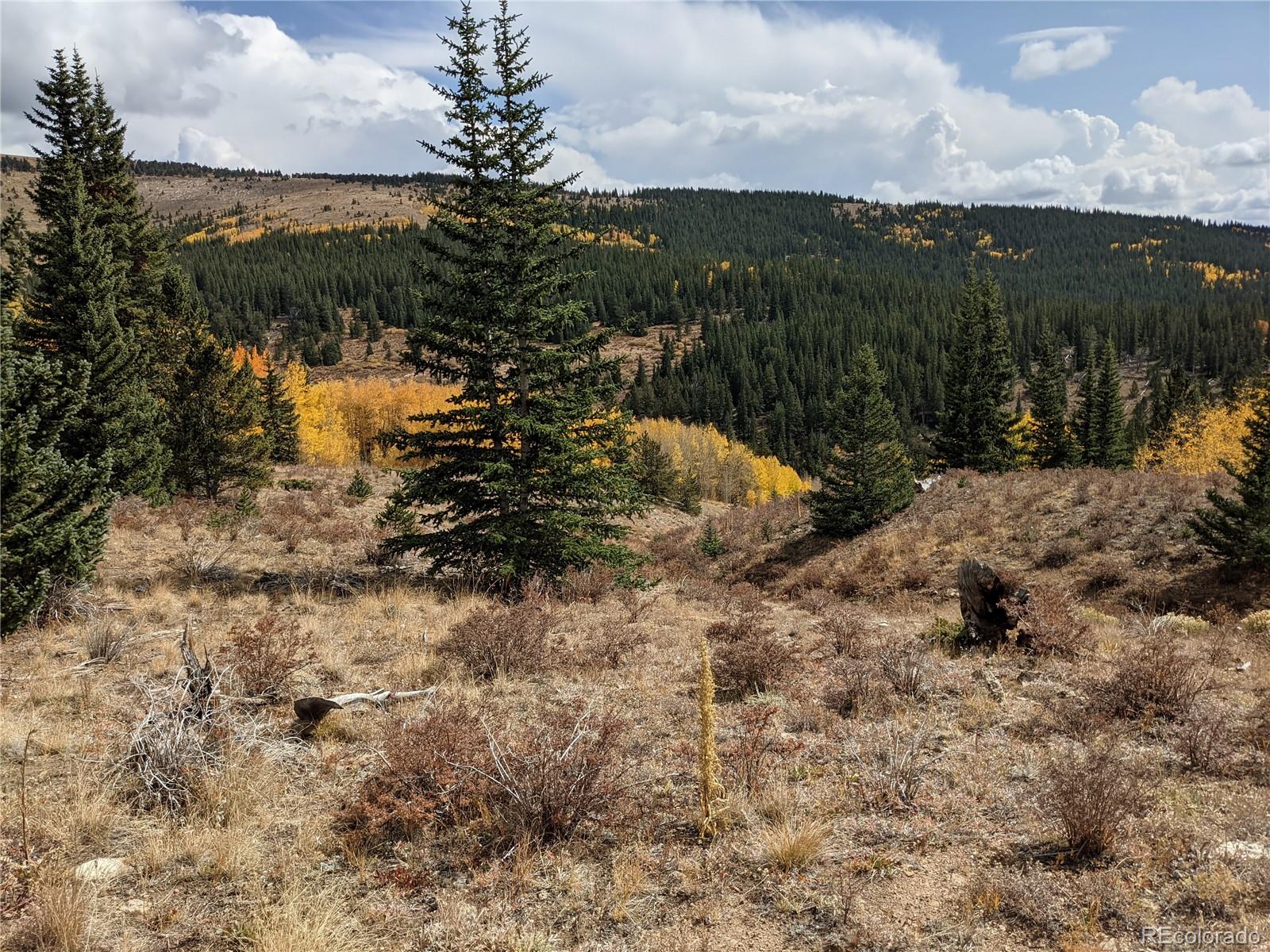 0 Snow Cap Peaks Road Fairplay, CO 80440 - Photo 12 of 20