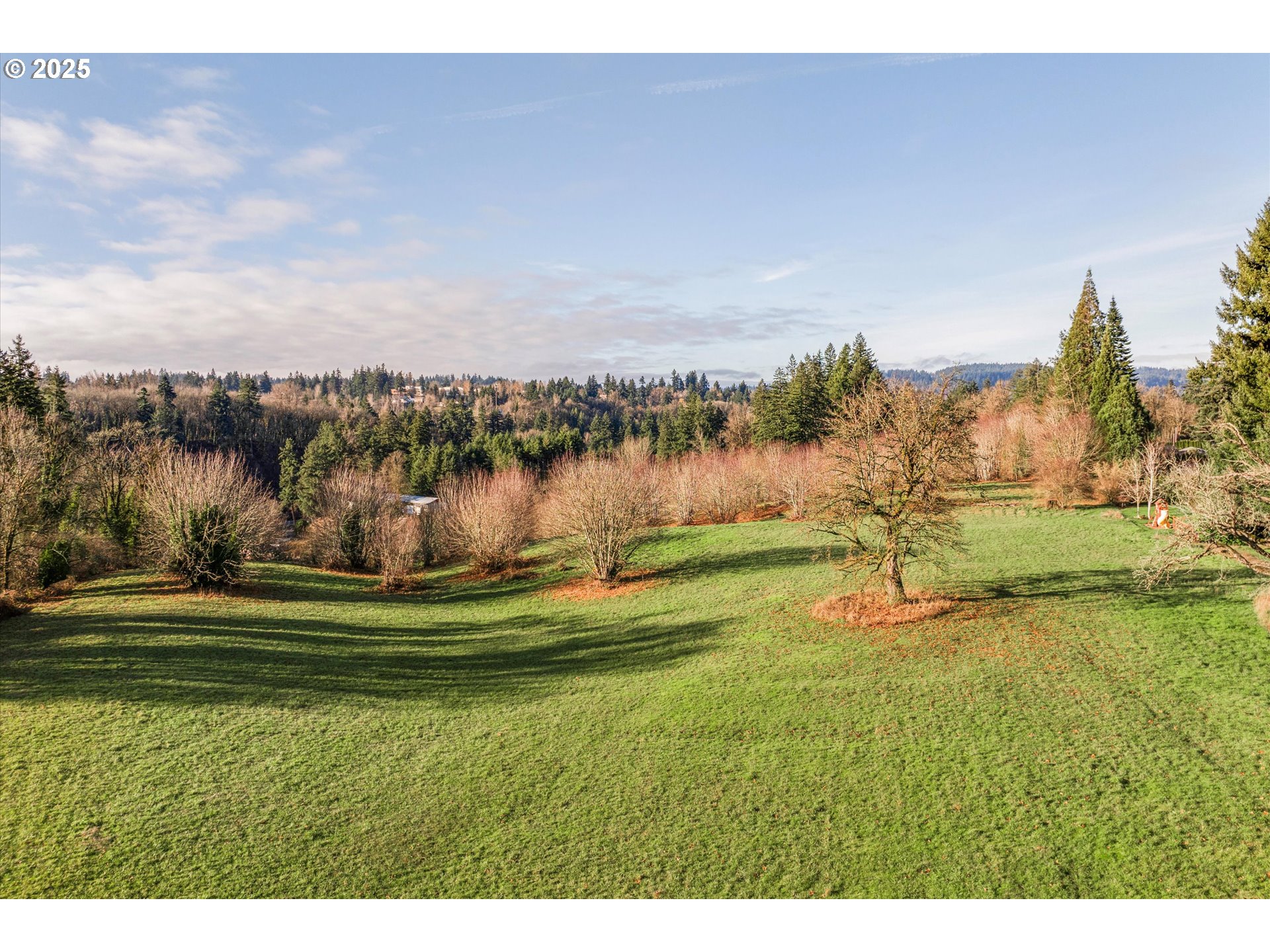 South Livesay Road Oregon City, OR 97045 - Photo 8 of 10
