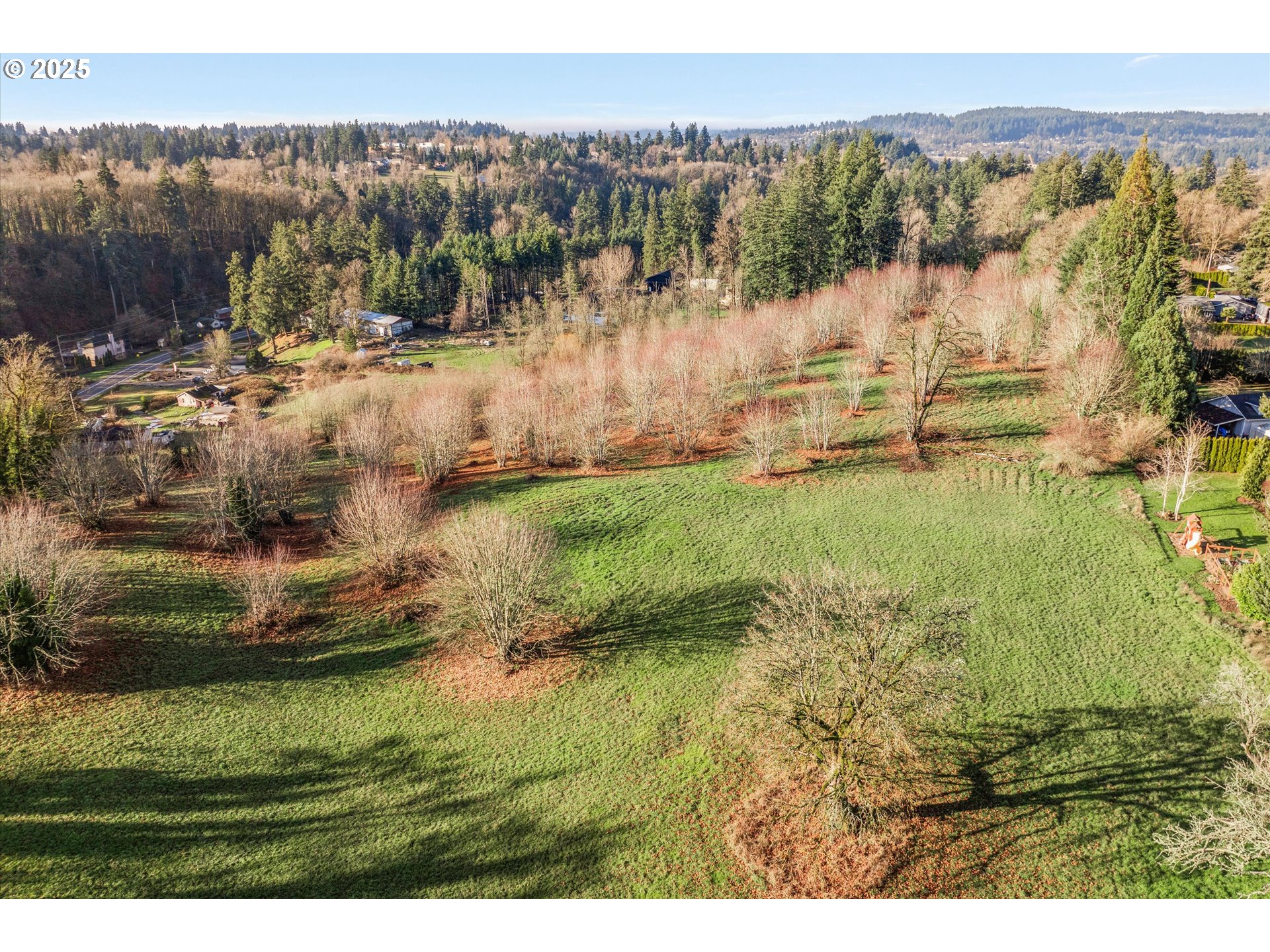 South Livesay Road Oregon City, OR 97045 - Photo 9 of 10