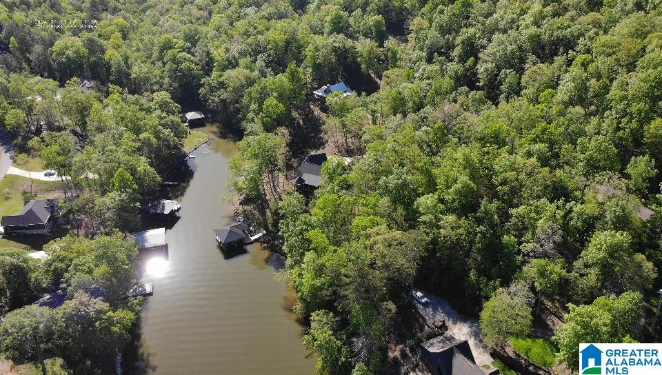 102 Boulder Point Lane, Unit 6 & 7 Ohatchee, AL 36271 - Photo 1 of 42