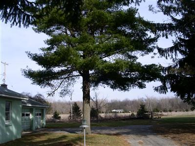 9839 South Sprinkle Road Portage, MI 49002 - Photo 2 of 8 Additional Photo