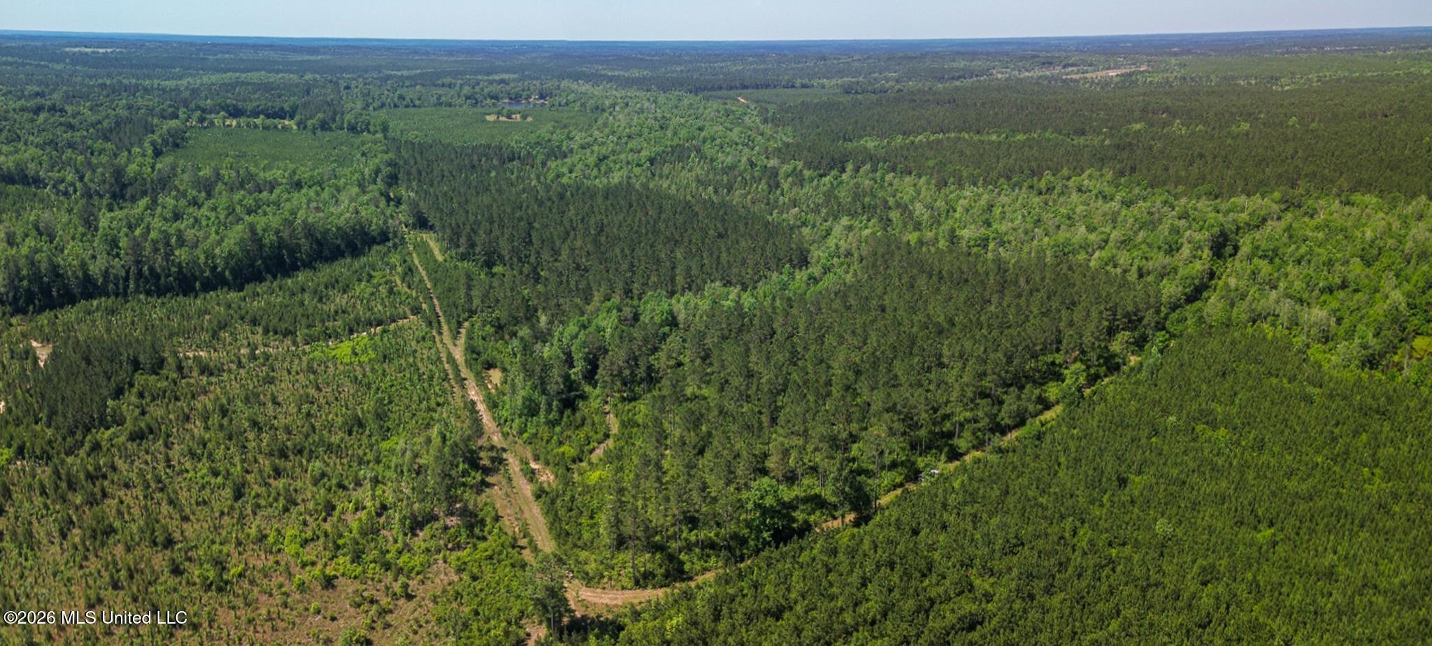 271 Shadeville Road Wiggins, MS 39577 - Photo 7 of 45 51426-7