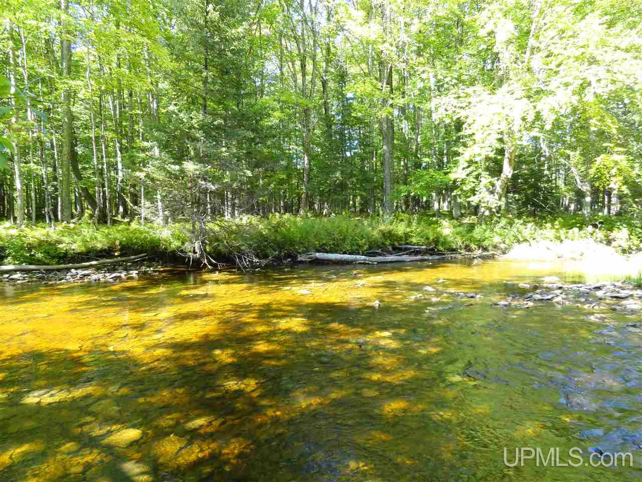 6386 Co Rd 432 Rock, MI 49880 - Photo 11 of 39