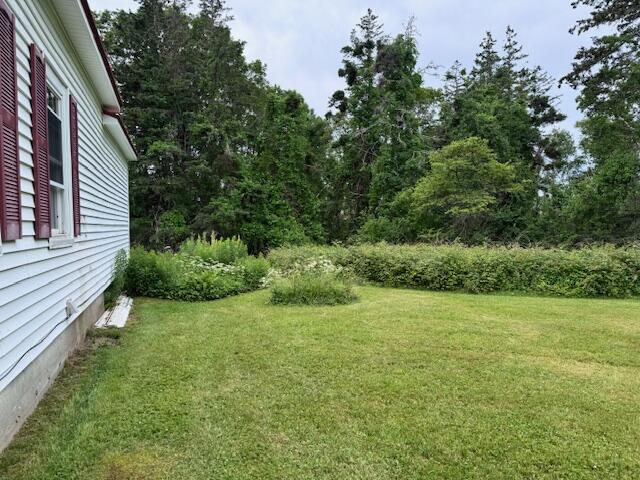 760 North Deer Isle Road Deer Isle, ME 04627 - Photo 11 of 20 Backyard 1