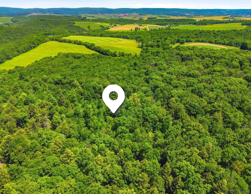 605 Laurel Falls Road Meyersdale, PA 15552 - Photo 41 of 53