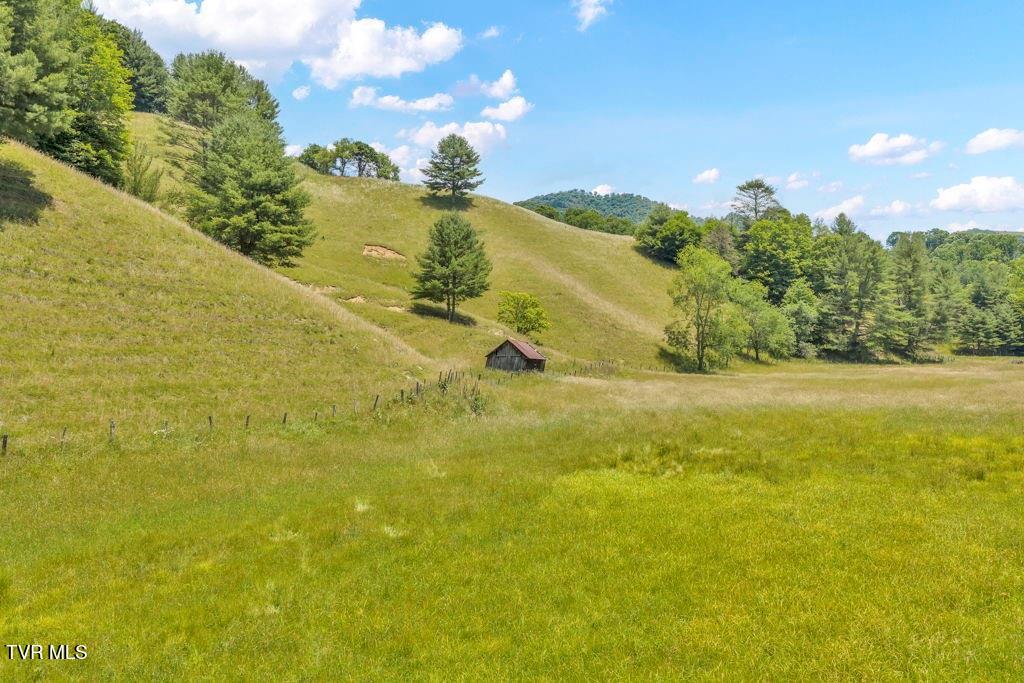 150 Fred Price Road Mountain City, TN 37683 - Photo 9 of 35 10