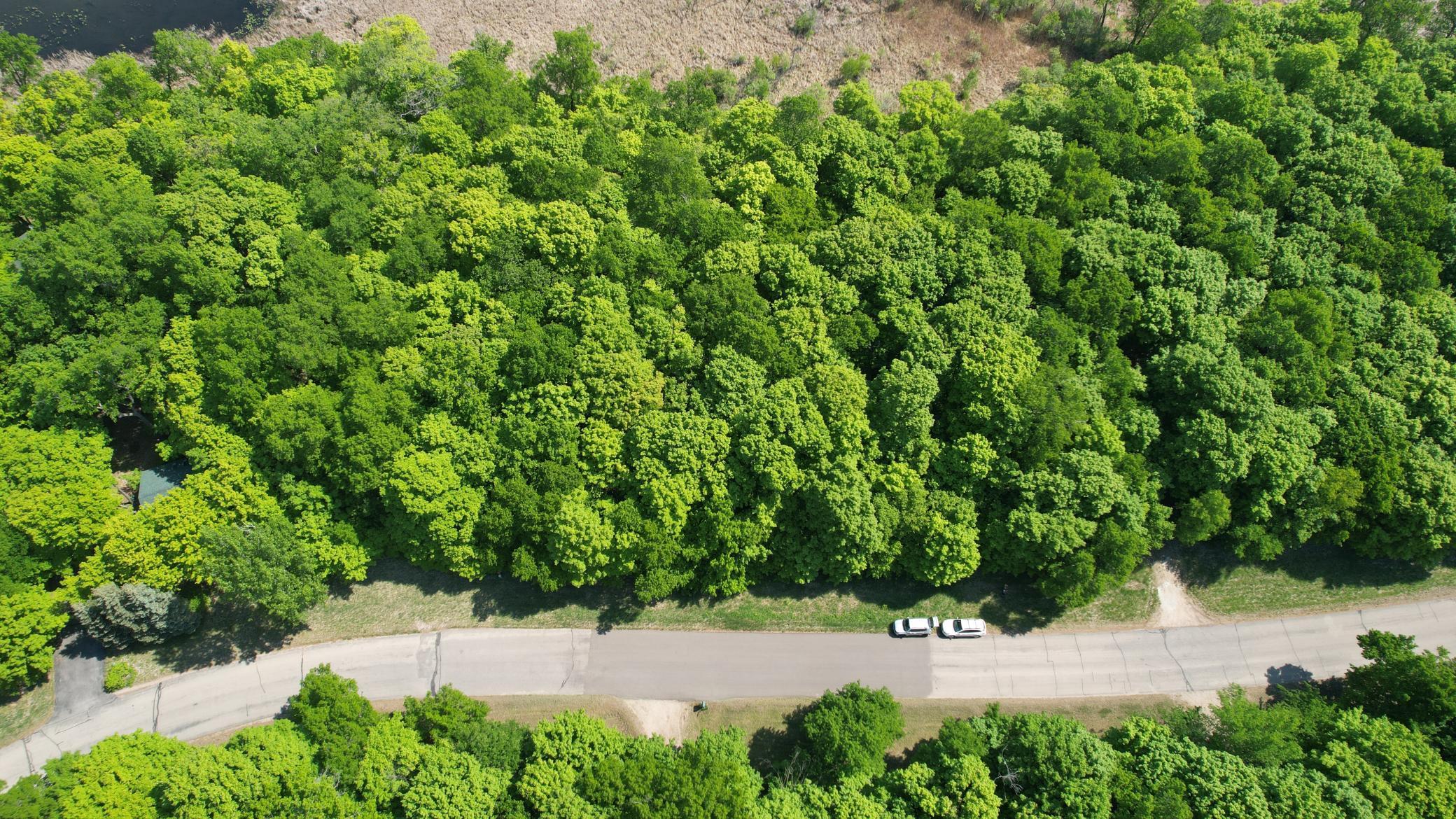 220-th 220th Street Clitherall, MN 56524 - Photo 14 of 21