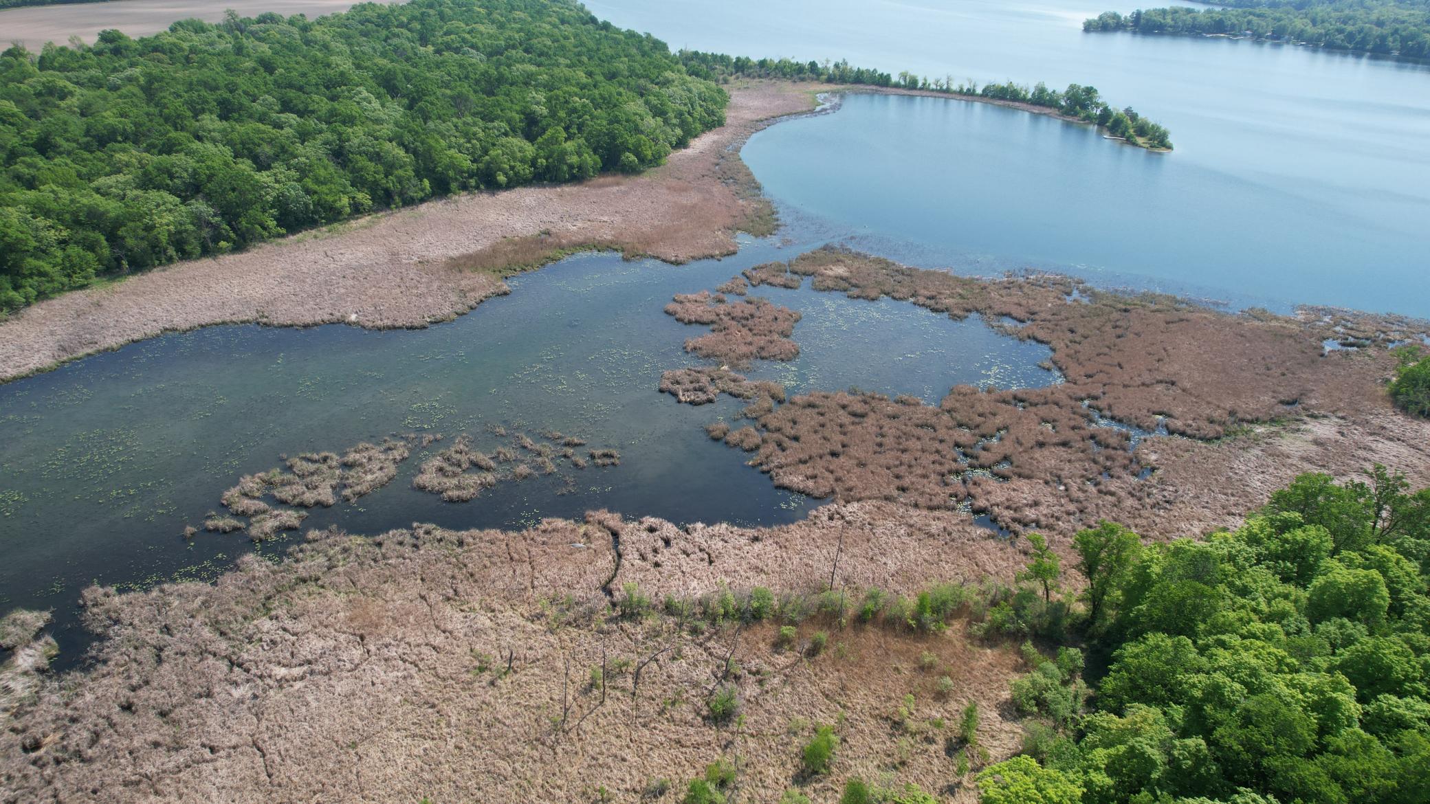 220-th 220th Street Clitherall, MN 56524 - Photo 16 of 21